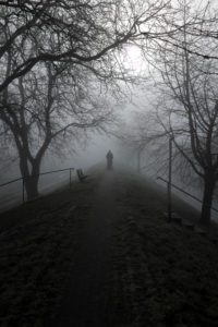 Winter im Norden Winter im Norden