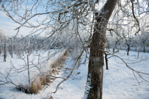 Winter time Winter time