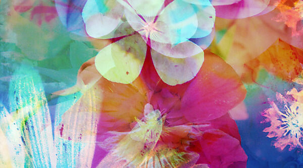 composing, flowers, different, detail,