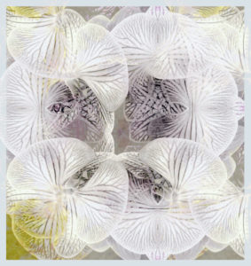 photographic flowers ornament,