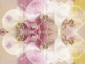 photographic flowers ornament,