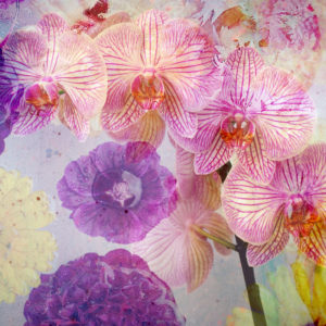 photomontage, flowers, flowers, detail, blur,