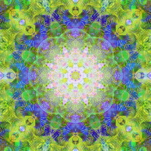 Photographic flower mandala, green, blue, pink,