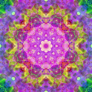 Photographic flower mandala, purple, pink, yellow, green,