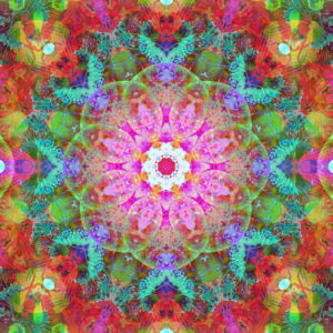 Photographic flower mandala, pink, red, turquoise,