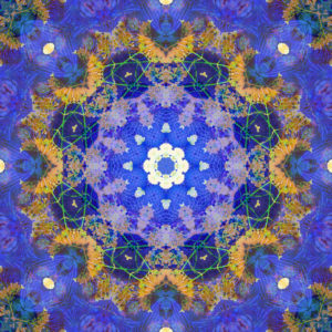 Photographic flower mandala, blue, purple, ocher,