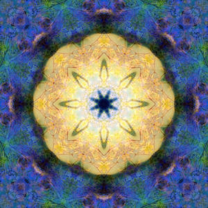 Photographic flower mandala, yellow, blue, green,