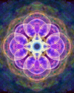 Photographic flower mandala, purple, blue,