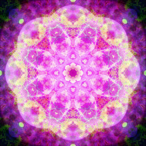 Photographic flower mandala, pink, yellow,