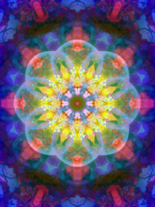 Photographic flower mandala, yellow, pink, turquoise, blue,