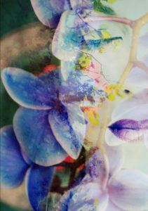 Photomontage, woman, flowers, trees, detail, Photomontage, woman, flowers, trees, detail,