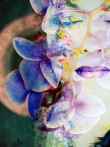 Photomontage, woman, flowers, trees, detail, Photomontage, woman, flowers, trees, detail,