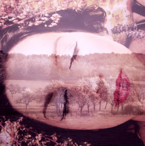 Photomontage, woman, landscape, trees, detail, color filter, Photomontage, woman, landscape, trees, detail, color filter,