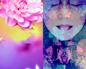 Composing, portrait of a woman overlaid with flowers,