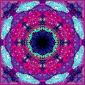 Photographic flower mandala, Photographic flower mandala,