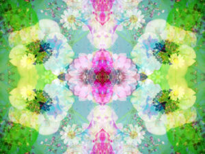 Photographic flower pattern, symmetrical Photographic flower pattern, symmetrical