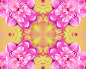 Photographic flower pattern, symmetrical Photographic flower pattern, symmetrical