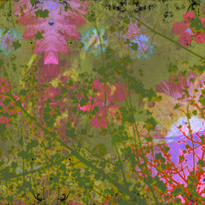 Composing with blossoms Composing with blossoms