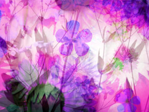 Composing with blossoms Composing with blossoms