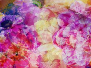 Blüten Composing Blüten Composing