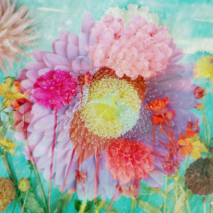 Blüten Composing Blüten Composing