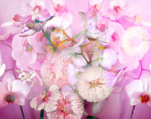 Blüten Composing Blüten Composing