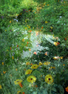 Blüten Composing Blüten Composing
