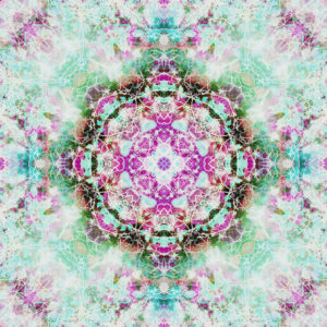 Composing of flowers in a mandala ornament Composing of flowers in a mandala ornament