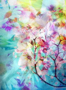 Photomontage, flowers, multicolored
