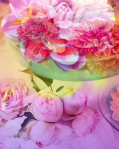 Photomontage, flowers, multicolored