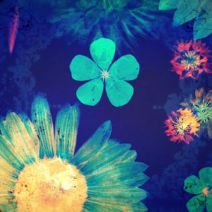Photomontage, multiple exposure, flowers, multicolored, detail,