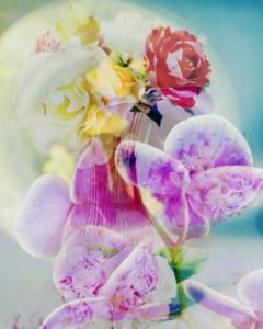 Photomontage, multiple exposure, flowers, multicolored, detail,