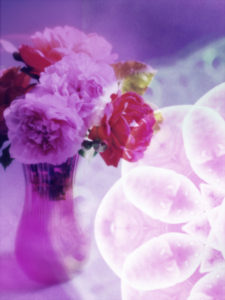 Photomontage, multiple exposure, flowers, multicolored, detail,