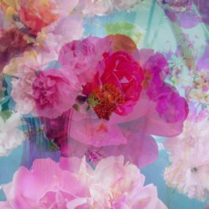 Photomontage, multiple exposure, flowers, multicolored, detail,