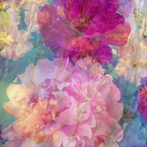 Photomontage, multiple exposure, flowers, multicolored, detail,