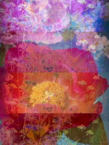 Photomontage, multiple exposure, flowers, multicolored, detail,