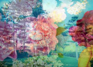 composing, garden, trees, flowers, blossoms, color filter, turquoise,