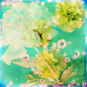 composing, flowers, different, detail, yellow, turquoise,