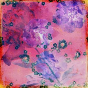 composing, flowers, different, detail, red, purple,