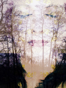 Composing, portrait of a woman, trees, detail,