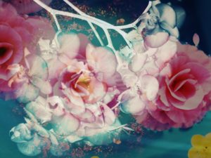 composing, flowers, different