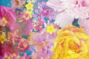 Compososing, flowers, different, pink, detail, yellow,