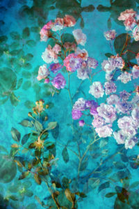 Compososing, flowers, blossoms, color filter, turquoise,