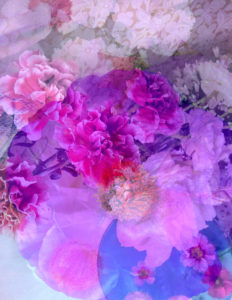 composing, flowers, different, pink, detail,