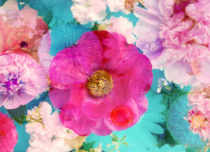 composing, flowers, different, detail,