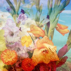 composing, flowers, different, detail,