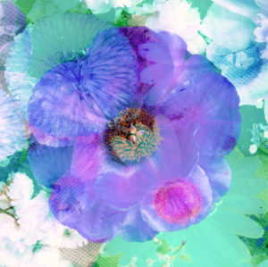 composing, flowers, different, detail, blue, purple, composing, flowers, different, detail, blue, purple,