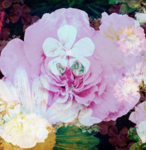 composing, flowers, different, detail,