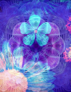 composing, flowers, different, detail, blue,