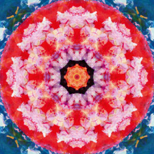 Composing flowers into a mandala ornament